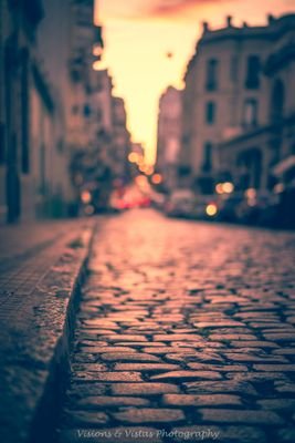 FrauleinMiniMe's profile picture. Moi/Je 🍀 🦢🍇