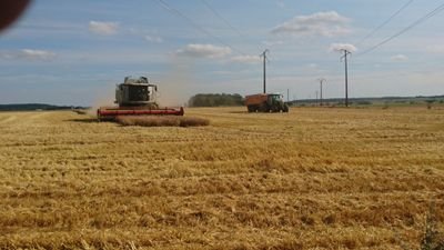 agriculteur, Oise,colza, blé semences,betteraves,lin textile,pommes de terre.