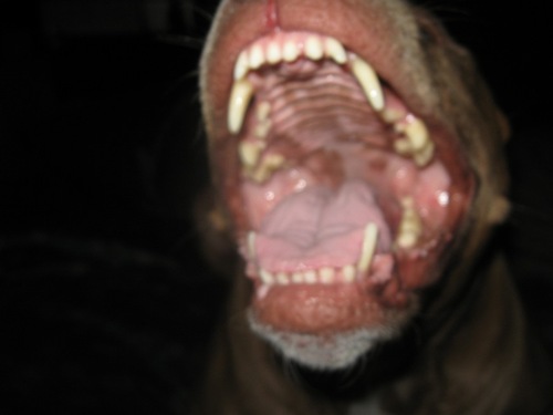 UpsetMag's profile picture. We Is A Street Mag Blog