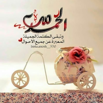 imohammedb2's profile picture. 