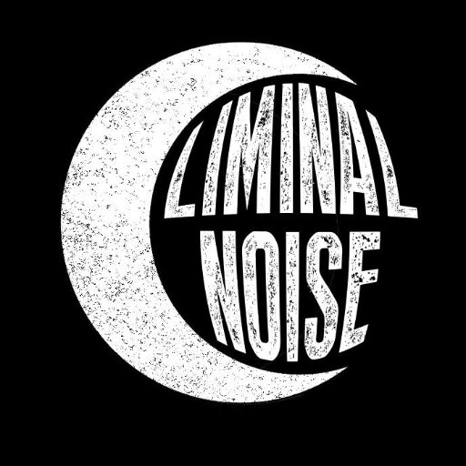 Liminal_Noise Profile Picture