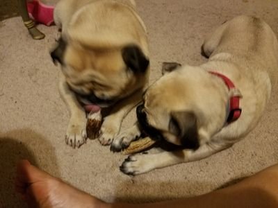 lrosey13's profile picture. 