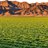 Farmer_guide's profile image