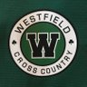 WestfieldXCTF's profile picture. Westfield Shamrocks boys cross country and track
