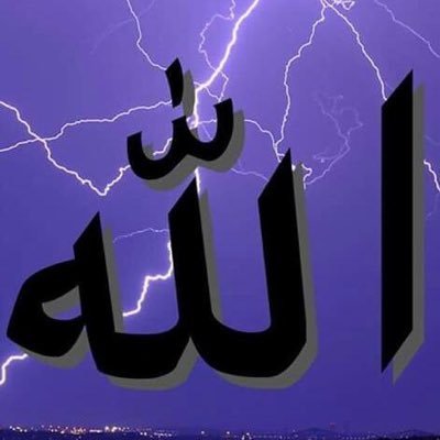 laaa133's profile picture. 