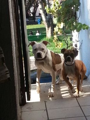 AscencioBenja's profile picture. Vive la vida