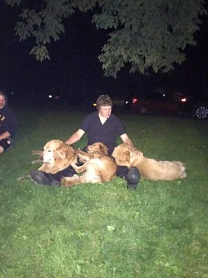 JarenMuller35's profile picture. I fear not the man who has practiced 10,000 kicks once, but I fear the man who has practiced one kick 10,000 times. - Bruce Lee