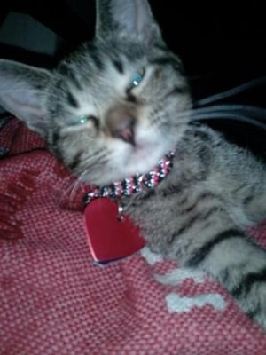 jamesErikGentr2's profile picture. Gsy 51 year old Man intetested in Men only.