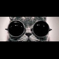 Narsist Değilim (@narsistdegilim) Twitter profile photo