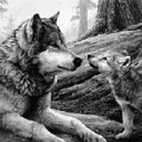 Jose Andres Lema (@57463bd6fb3749d) Twitter