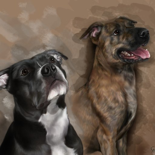 Mom, Animal Lover, Pittie mom and advocate ,Friend,music lover