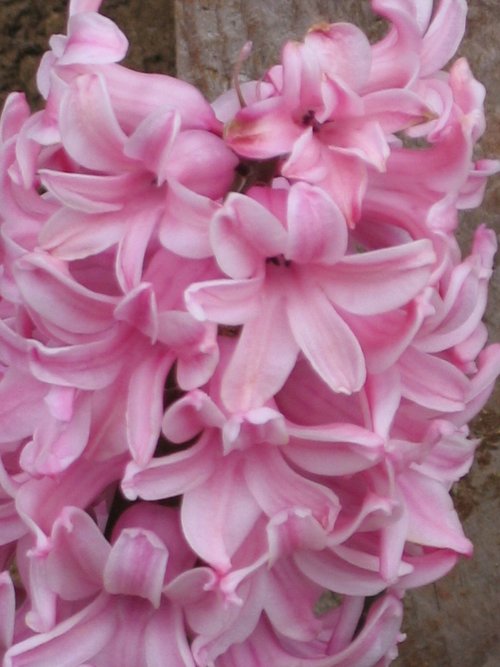 KiraBg's profile picture. 