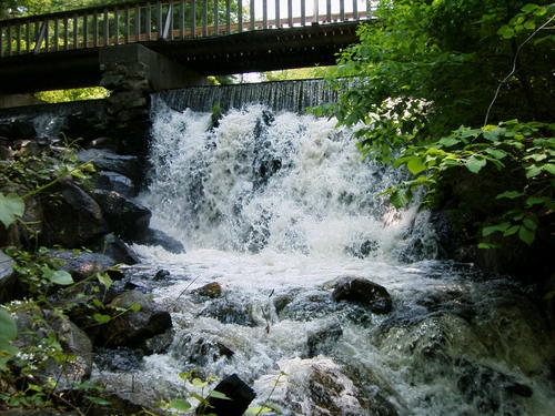 The Windham-Tolland 4-H Camp has been serving area children and families since 1954. Located in Pomfret Center, CT