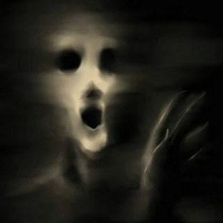 bajolalupalagos's profile picture. 