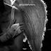 Un Suicida Enamorado (@suicidaperfecto) Twitter profile photo Un Suicida Enamorado (@suicidaperfecto) Twitter profile photo