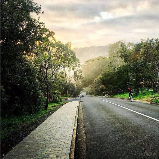 Benny_J_J's profile picture. Be Excellent #healthybodyhealthymind