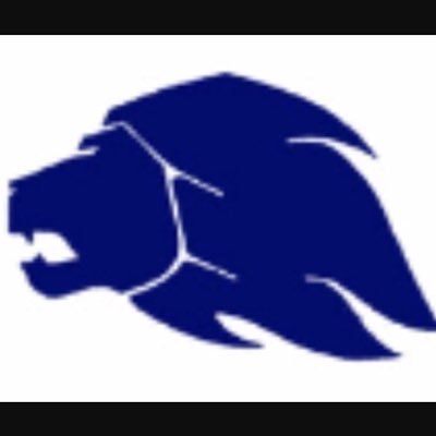 MHS Lions Football Profile