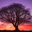 Jan Thames - @janthames - Twitter