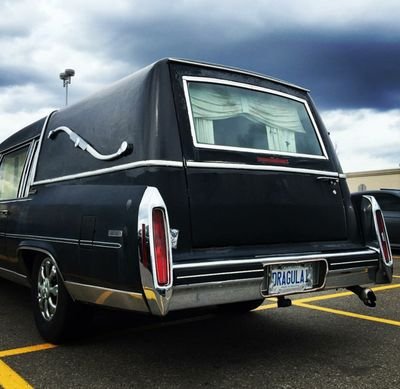 MarkWills247's profile picture. Funeral director. Grief management. Avid fan of all things taboo.