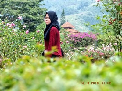 addeclara's profile picture. 