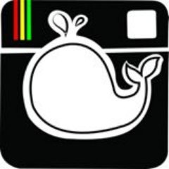 BigWhaleMedia's profile picture. Fun is right at your fingertips with our funky cool booth services, add fun & excitement to your event!  contact us 👉🏾👇🏿bigwhalephotobooth@gmail.com