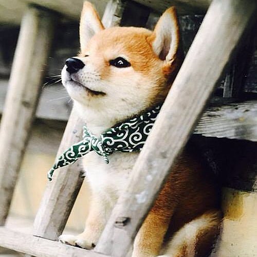 yutaroyy's profile picture. 株歴は'97～。初めて買ったのはDDI。数年前に一瞬億到達も、先物売り＆個別買いポジ双方でやられまさかの全溶かし。その後大型から新興に幅を広げようとするもイマイチ、現在は時機を見ての先物を特に意識。