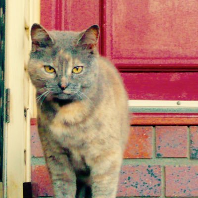 __15___e's profile picture. 本音垂れ流し垢