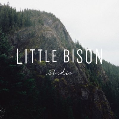 Little Bison Studio