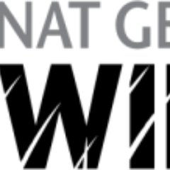 follow everyone back https://t.co/TNLXc6AeBl #nationalgeographic #subscribe #documentary #enjoy #share #comment #like