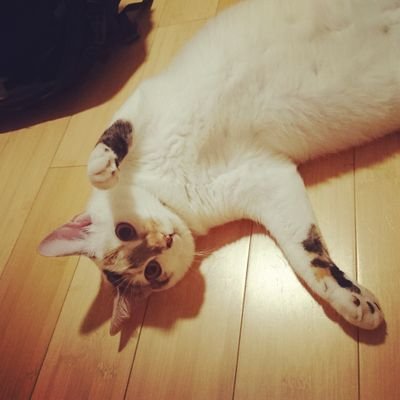 yuyuu_6's profile picture. 