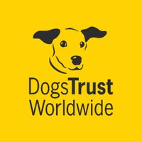 Dogs Trust Worldwide(@_DTWorldwide) 's Twitter Profile Photo