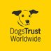 Dogs Trust Worldwide (@_DTWorldwide) Twitter profile photo