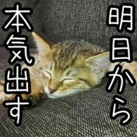 きょん@へたれ狩人 (@kyo_ishida) 's Twitter Profile