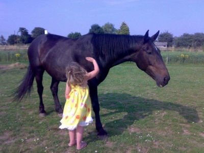 ColleenSinclai2's profile picture. 