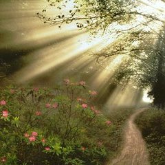 lulinyou's profile picture. nihilism