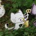 eri_m (@erimts) Twitter profile photo eri_m (@erimts) Twitter profile photo
