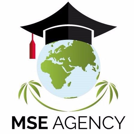 MSE Agency