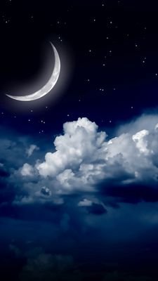 melja83's profile picture. 