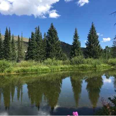 LiveSimulation's profile picture. Its complicated.