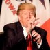Trump is gay (@trumpisgayhomo) Twitter profile photo Trump is gay (@trumpisgayhomo) Twitter profile photo
