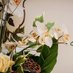 Flowers By Enda (@flowersbyenda) Twitter profile photo Flowers By Enda (@flowersbyenda) Twitter profile photo