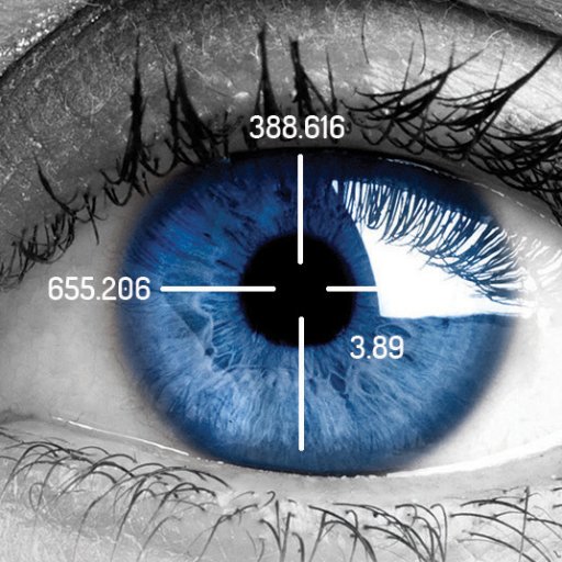 EyeDetect®-world’s first automated #LieDetector. Detect deception in 15-30 min. via eye behavior. VerifEye™ is a mobile #truth verification app. #LawEnforcement