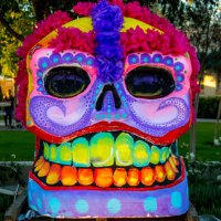 RWLM (@runwlosmuertos) 's Twitter Profile Photo