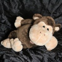 Netheropithecus (@monkeyamongmen) 's Twitter Profile