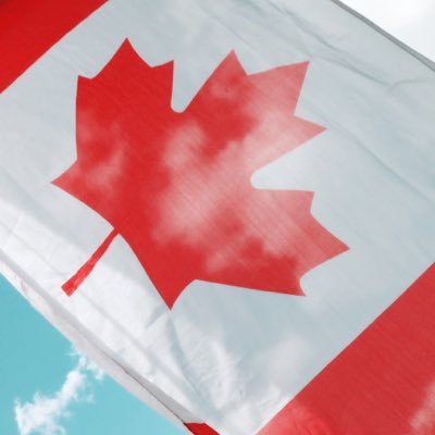 ThiessenCLT's profile picture. 
