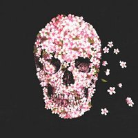 Noni (@nonemash) 's Twitter Profile