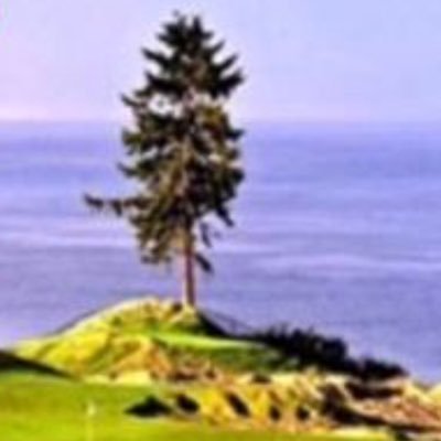Been erect since I’ve been alive. Host of 2015 #USOPEN Voted most selfied tree in PNW. Is that epoxy in my trunk or are you just happy to see me? #1treeingolf