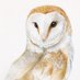 Stephen Walton (@swaltonart) Twitter profile photo Stephen Walton (@swaltonart) Twitter profile photo