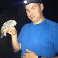 UMass Gerson Lab (@umass_birdphys) 's Twitter Profile