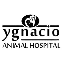 YgnacioAHospital (@ygnacioah) / Twitter YgnacioAHospital (@ygnacioah) / Twitter